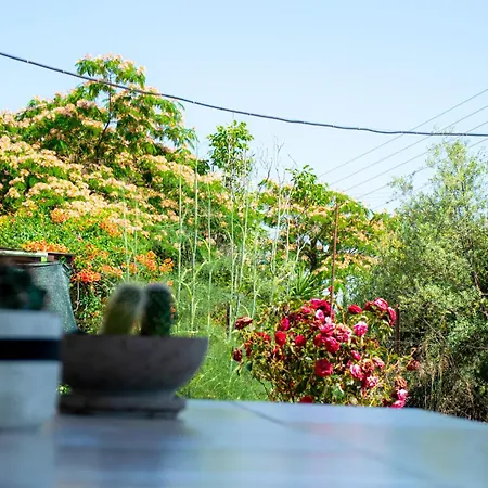 בית נופש Paradise Residency Nea Iraklitsa